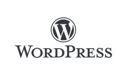 WordPress CMS platform icon