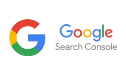 Google Search Console platform icon